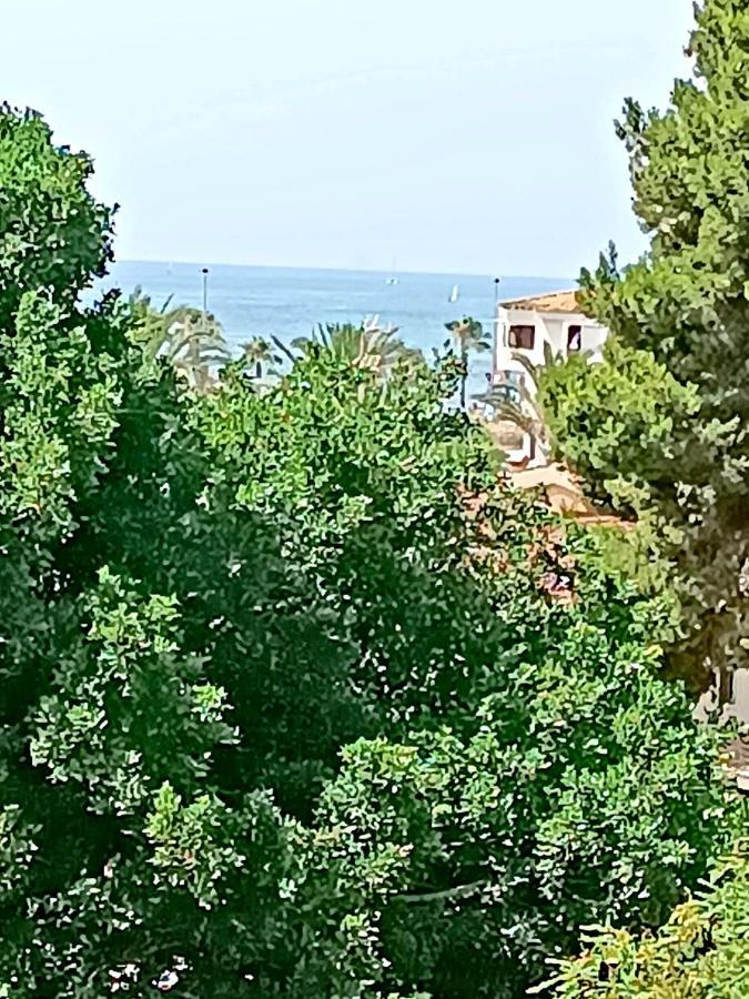 De Pinoso Torrevieja